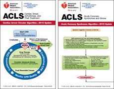 پاورپوینت احیای قلبی ریوی پیشرفته (ACLS)