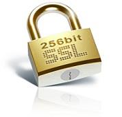 پاورپوینت لایه اتصال امن SSL