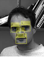 کد متلب مشخص کردن اجزا صورت انسان در تصویر