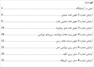 دستورکار کارگاه رزین به صورت ورد و تایپ شده - دانشگاه امیرکبیر